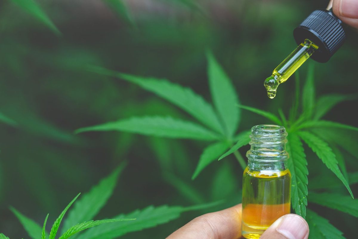 Unlocking CBD Oil’s Healing Potential: An Analysis of Its Effects on Wellness and Health